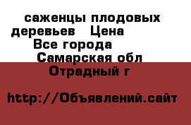 саженцы плодовых деревьев › Цена ­ 6 080 - Все города  »    . Самарская обл.,Отрадный г.